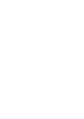 Royal Jordanian Airlines